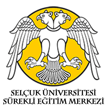 Devlet Üniversitesi Devlet Üniversitesi