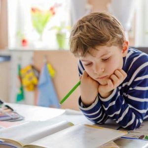 Akıl Zeka Oyunları, Yaratıcı Drama ve Öğrenci Koçluğu