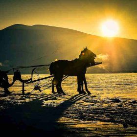 Ardahan Hasta Kayıt Kabul Sertifika Programı