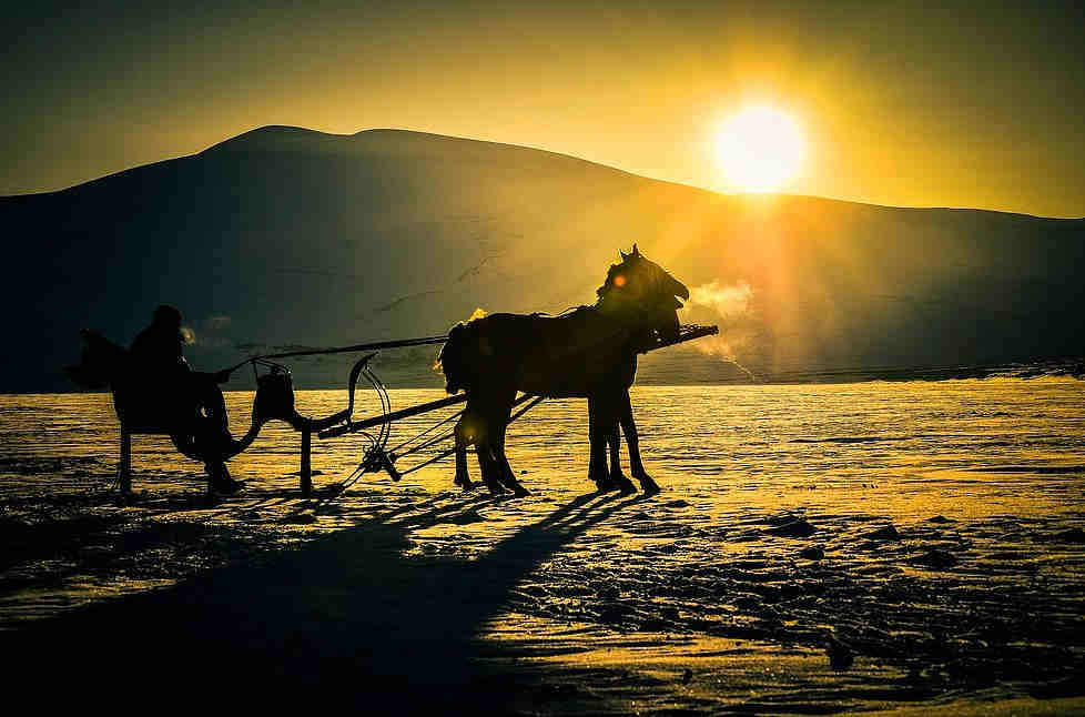 Hasta Kayıt Kabul Sertifika Programı Ardahan