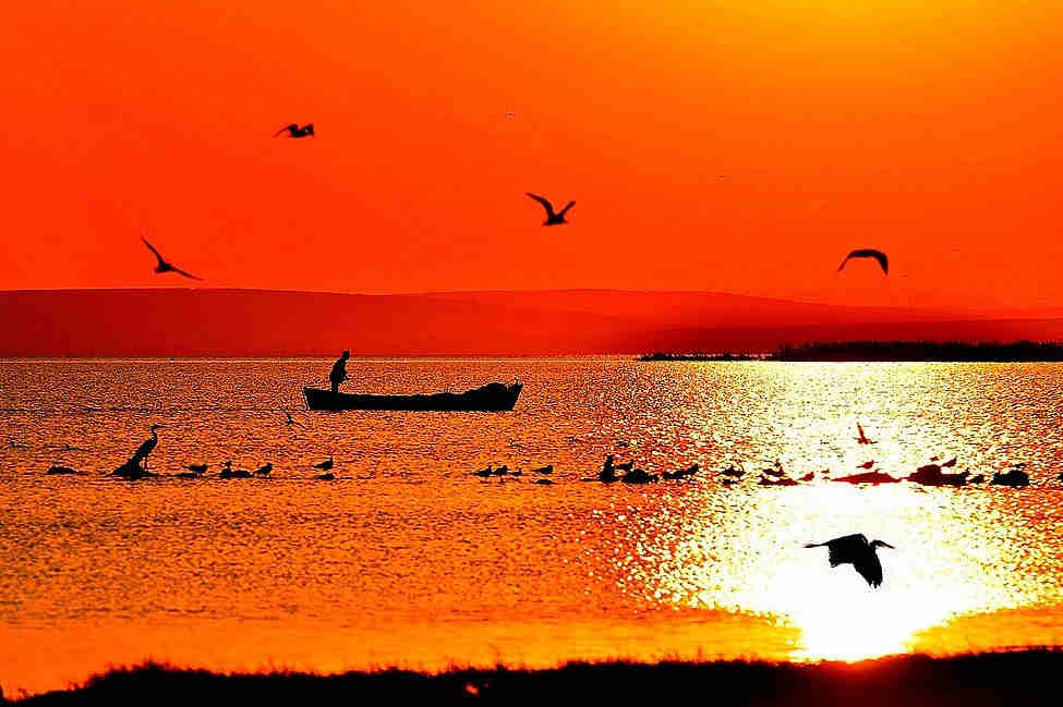 Hasta Kayıt Kabul Sertifika Programı Balıkesir