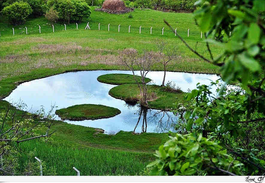 Hasta Kayıt Kabul Sertifika Programı Bingöl