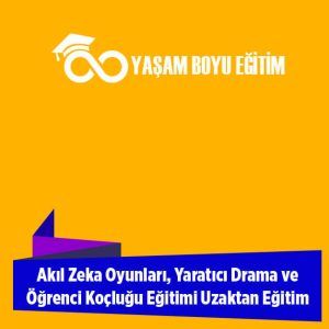 Akıl Zeka Oyunları