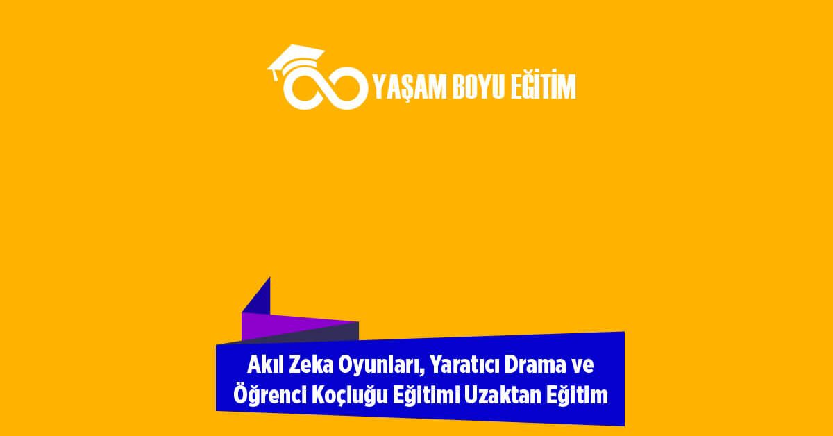 Akıl Zeka Oyunları
