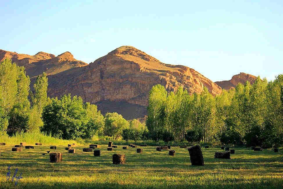 Hasta Kayıt Kabul Sertifika Programı Iğdır