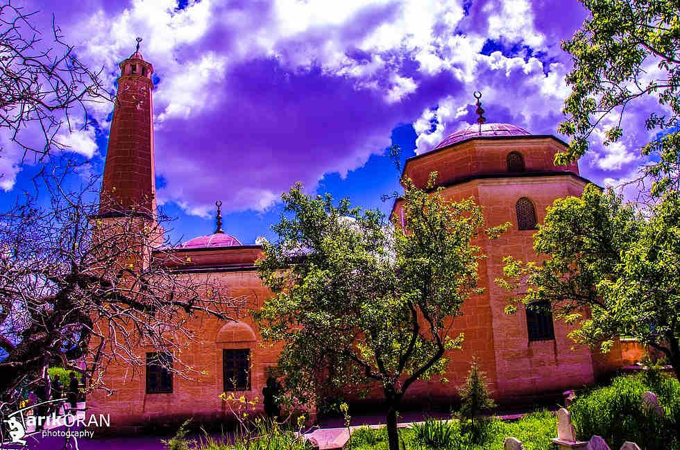 Hasta Kayıt Kabul Sertifika Programı Siirt