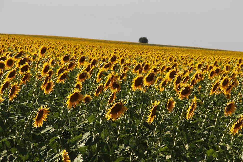 Hasta Kayıt Kabul Sertifika Programı Tekirdağ