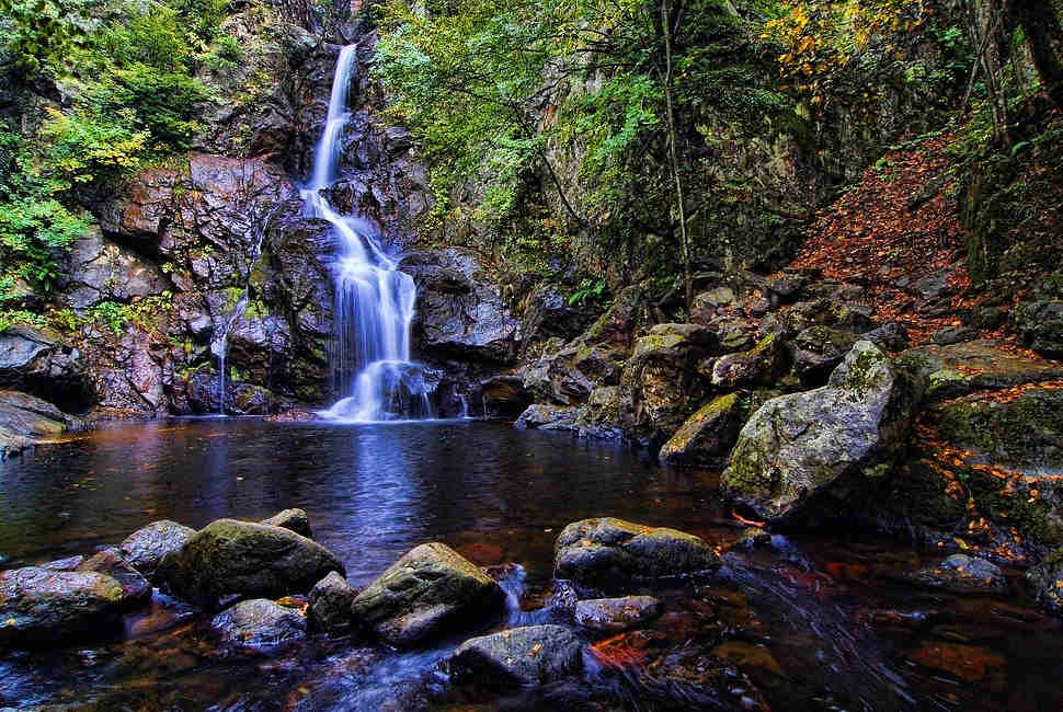 Hasta Kayıt Kabul Sertifika Programı Yalova